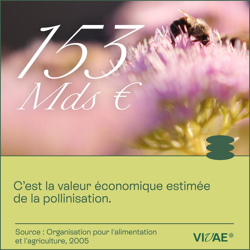 CHIFFRE CLÉ_1001-4-min