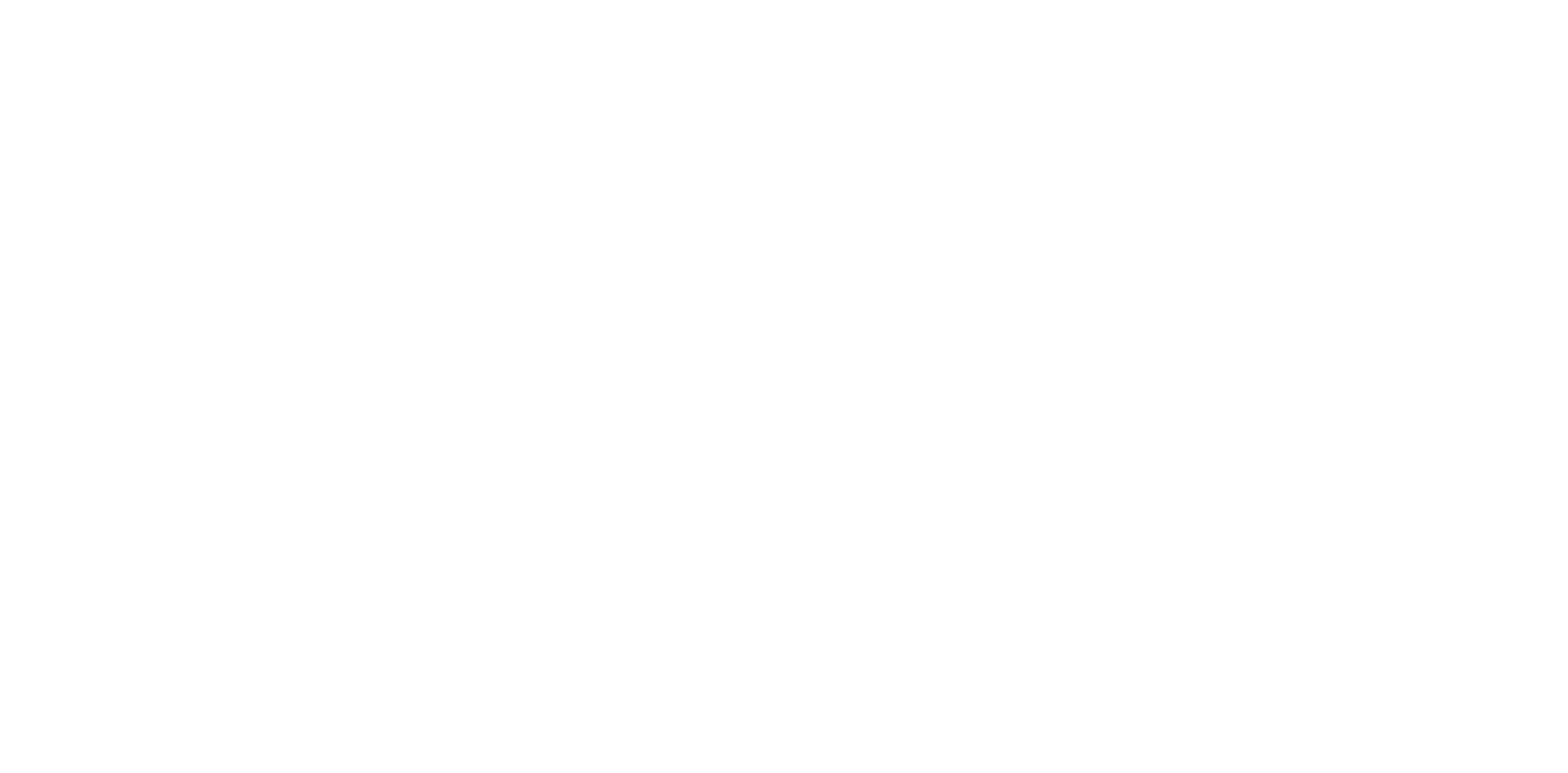 NetZero_2